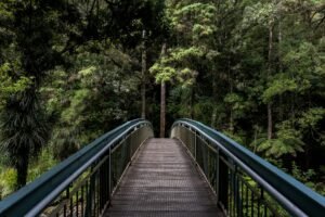 What is Lorem Ipsum Lorem Ipsum is simply dummy text 3?